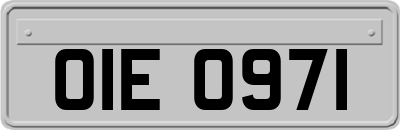 OIE0971