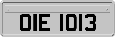 OIE1013