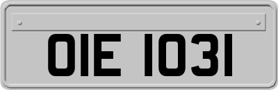 OIE1031