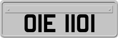OIE1101