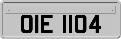OIE1104