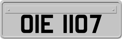OIE1107