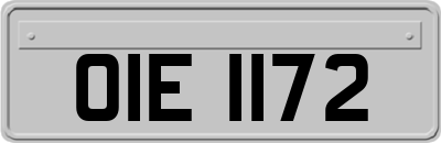 OIE1172