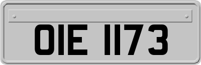 OIE1173