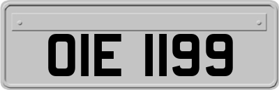 OIE1199