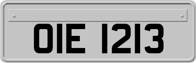 OIE1213