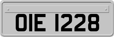 OIE1228