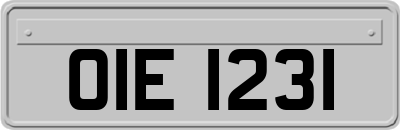 OIE1231