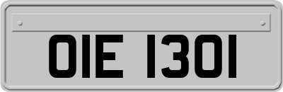 OIE1301