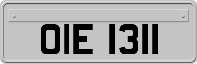 OIE1311