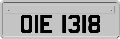 OIE1318
