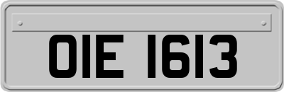 OIE1613
