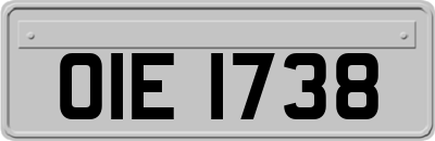 OIE1738