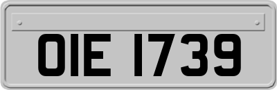 OIE1739