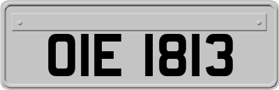 OIE1813