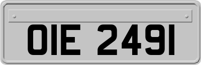 OIE2491