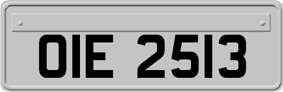 OIE2513