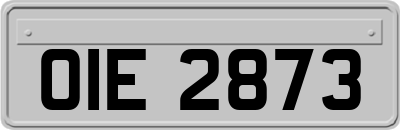 OIE2873