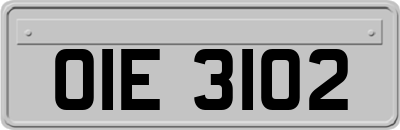 OIE3102