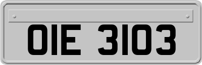 OIE3103