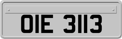 OIE3113