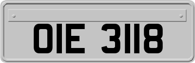 OIE3118
