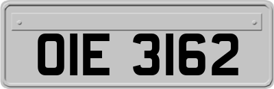 OIE3162