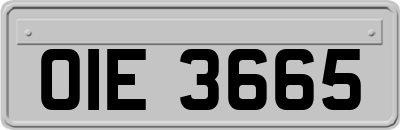 OIE3665