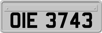 OIE3743