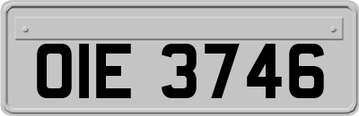 OIE3746