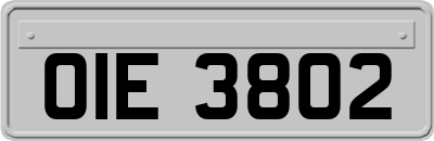 OIE3802