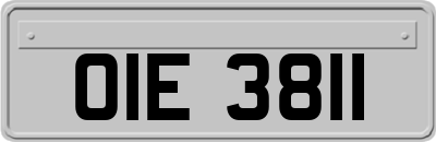 OIE3811