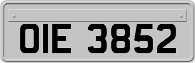 OIE3852