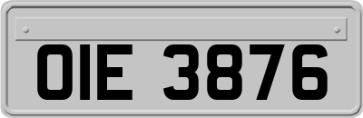 OIE3876