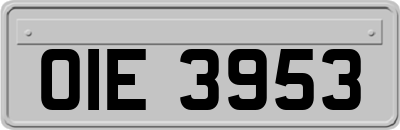 OIE3953