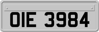 OIE3984