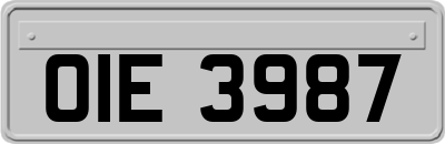 OIE3987