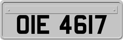 OIE4617