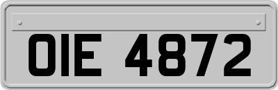 OIE4872