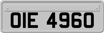 OIE4960