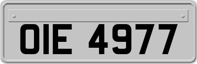OIE4977