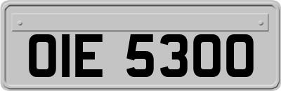 OIE5300
