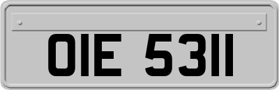 OIE5311