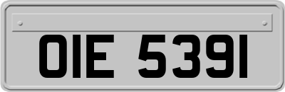 OIE5391