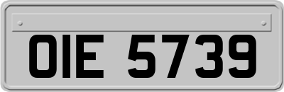 OIE5739