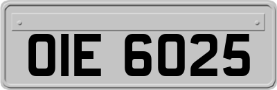 OIE6025
