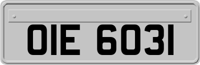 OIE6031