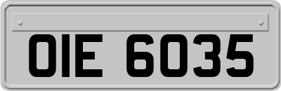 OIE6035