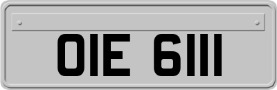 OIE6111