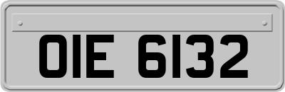 OIE6132